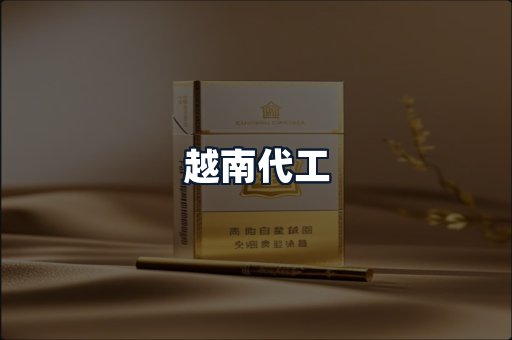 越南代工